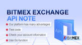 BitMEX exchange API note