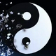 avatar of 天机趋势量化